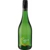 Sonstiges Secco Vino Frizzante 10,0 % Vol 0,75 Liter