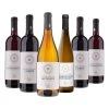 Sonstiges GRIES Weinpaket 6 Flaschen 12,5 - 13,5 % Vol Je 0,75 Liter -Young Poets wine Geschäft 2195740000 prod 001